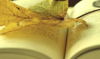 关于小丑的句子 小丑的伤感句子