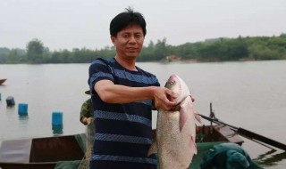 浅水塘捕鱼方法 除了钓鱼水库怎么捕鱼