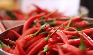 种小尖椒的方法 怎么种小尖椒