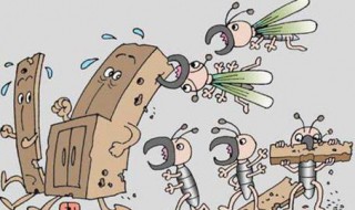 怎么灭白蚁 消灭白蚁方法介绍