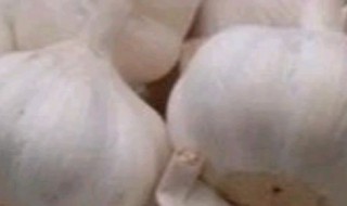 吃蒜有什么好处 吃蒜有哪些好处