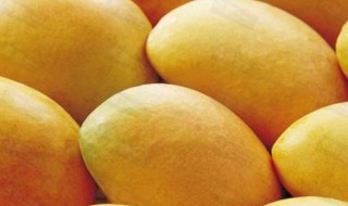 吃芒果不能吃什么 芒果不能和什么一起吃