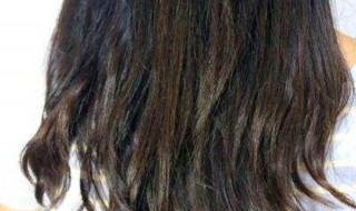 发质不好怎么改善 改善发质的方法