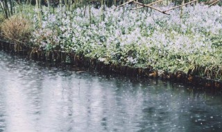 跟雨有关的成语 跟雨有关的成语解释