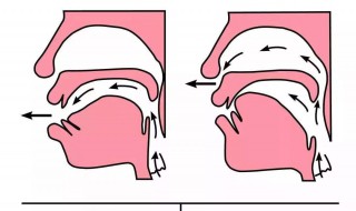 怎么正确发声说话不伤嗓子 如何快速学会正确发声