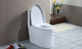 怎么样正确使用马桶抽 正确使用马桶抽的方法