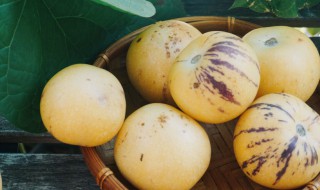 人参果放在冰箱里怎么保存 人参果放在冰箱里怎么储存