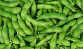 秋天怎么保存毛豆 毛豆如何保存