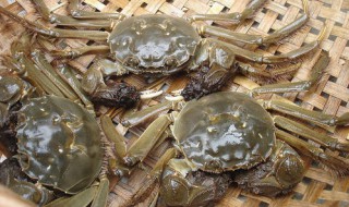 怎样保存大闸蟹让它不死 大闸蟹怎么保存才不死的方法介绍