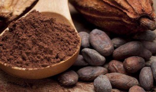 咖啡渣适合养什么花 咖啡渣适合养的花列述