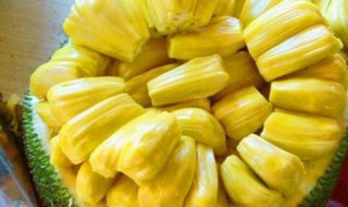 菠萝蜜怎么挑新鲜 挑选菠萝蜜的技巧