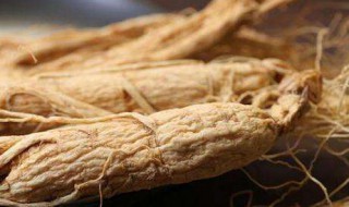 白参的功效与作用及食用方法 白参的功效与作用及食用方法介绍