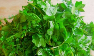 怎么保存鲜花椒芽 保存花椒芽的方法