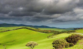让土不长草方法 怎么让土不长草