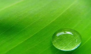 微信怎么换背景 微信怎么换背景图