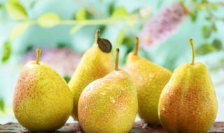 梨怎么保存 梨应该如何保存