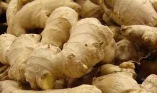 切开生姜保存方法 生姜保存妙招