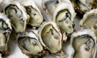生的生蚝怎么保存 生的生蚝保存方法介绍