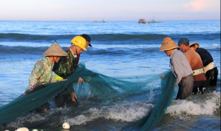 活鱼放冰箱怎么保存 保存活鱼放冰箱的方法