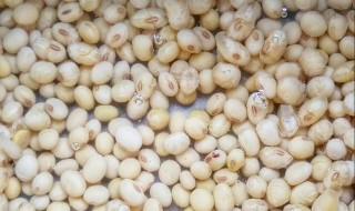 纳豆怎么保存 保存 纳豆的方法