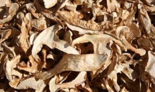 晒干松茸保存方法 松茸如何保存