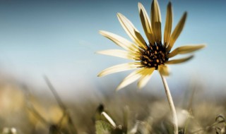 温暖的早安心语周末 比较暖心的周末早安心语