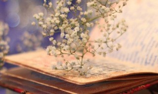 廉洁标语简洁 廉洁宣传标语