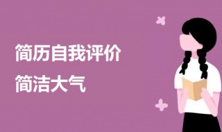 简历自我评价简洁大气 个人求职简历评价简洁大方