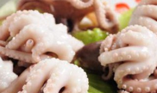 冻八爪鱼的正确方法 冻八爪鱼的方法