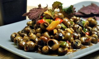 田螺泥沙处理方法 干净清理田螺小妙招