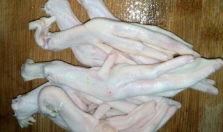 鸭脚清洗方法 鸭脚如何清洗