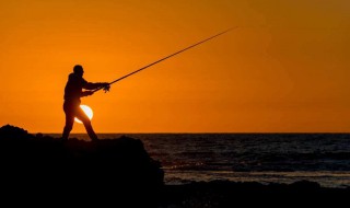 秋钓花鲢技巧 秋季钓不上大鲢鱼不妨试试这几招