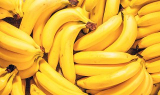 成熟的香蕉形状为什么大都是弯的 未成熟的香蕉是直的吗