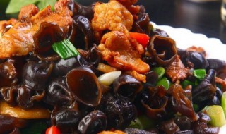 木耳炒肉的家常做法 木耳炒肉的家常做法与步骤