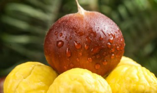 板栗怎么保存到冬天吃 保存栗子的方法