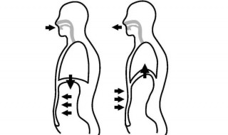 腹式呼吸的方法 正确的腹式呼吸方法