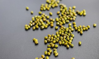 绿豆如何做饼 绿豆饼怎么做