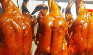 冰冻鸭如何做烧鸭 怎样用冰冻鸭做烧鸭