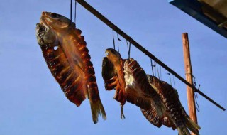 怎么做鱼干 自己在家怎么做鱼干