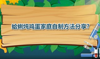 蛤蜊炖蛋 蛤蜊炖鸡蛋家庭自制方法分享