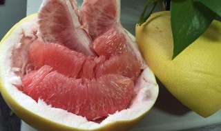 没吃完的柚子怎么保存 没吃完的柚子如何保存