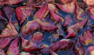 新鲜菱角怎么保存 鲜菱角如何保存