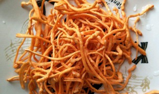 虫草花怎么保存 虫草花保存方法