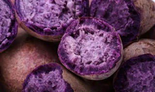 紫薯买多了怎么保存 紫薯可以这样保存