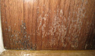 怎么去除霉味 去除霉味的方法