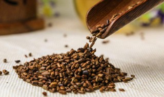 决明子枕头适合人群 决明子枕头适合哪些人用