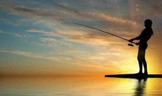 冬季用什么饵料钓鱼最佳 冬季钓鱼用什么饵料好