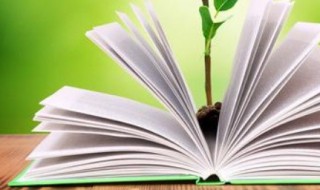 冬季的诗句 冬天的经典诗句