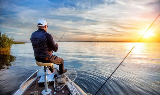 冬季钓鲫鱼用什么饵料最好 冬季钓鲫鱼要用什么饵料