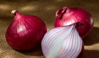 洋葱怎么切片 洋葱切片的方法